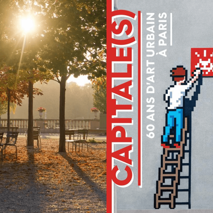 Que faire en Novembre pour patienter jusqu’aux fêtes de fin d’année ?